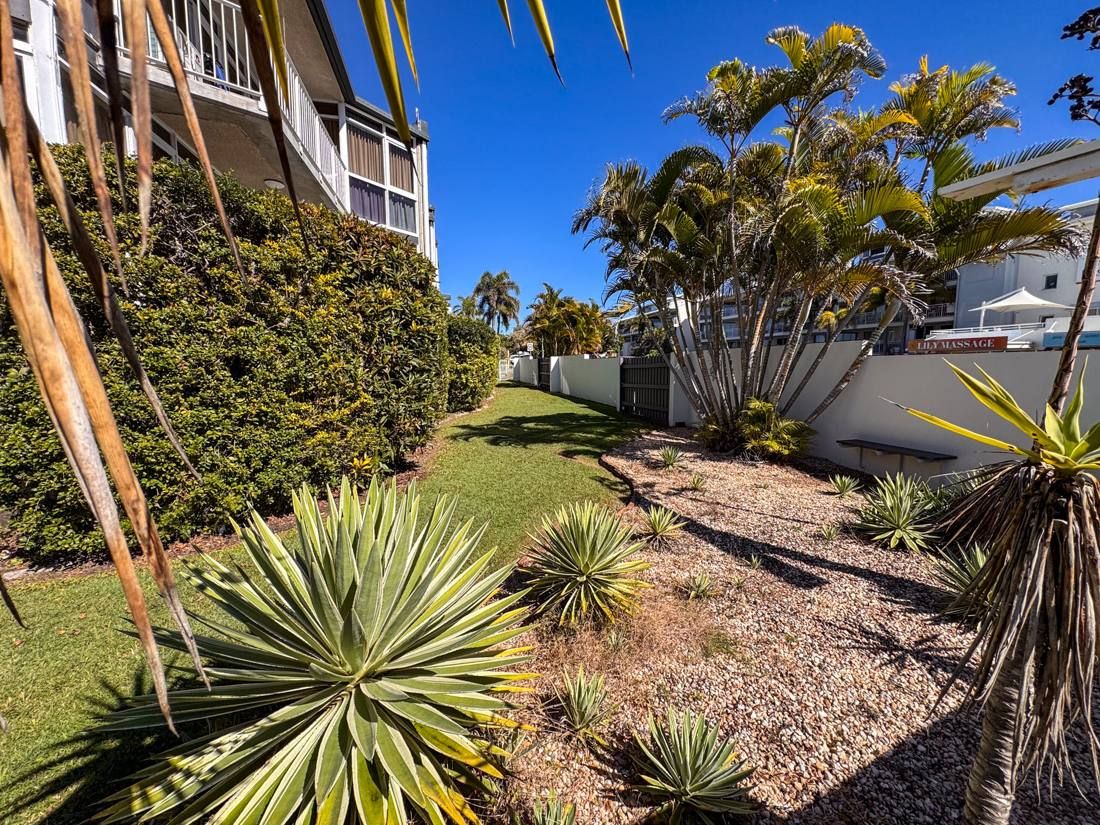 Gardens around the building, Northpoint Apartments Alexandra Headland